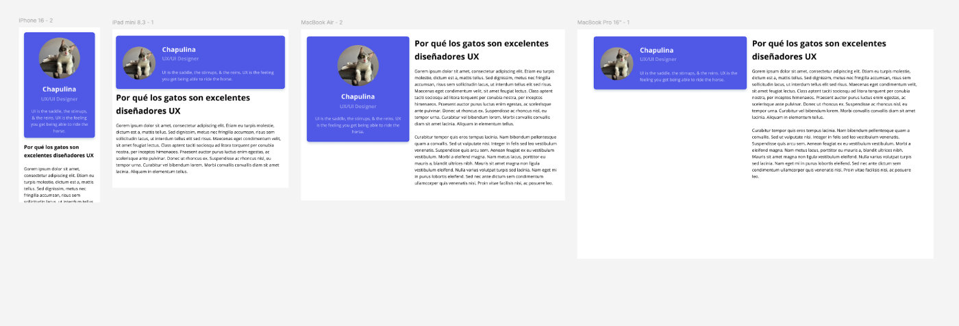 Pantallazo de validador en el navegador